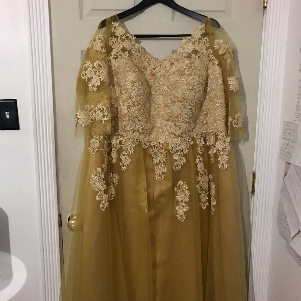 Plus size formal dress.
